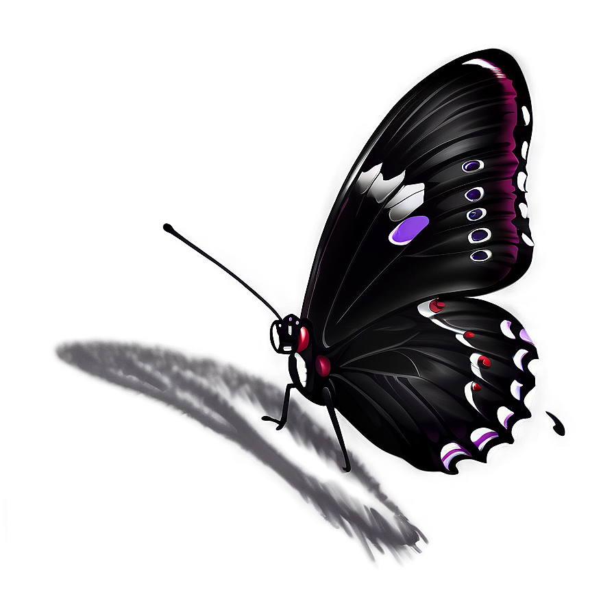 Black Butterfly Sketch Png 06252024 PNG