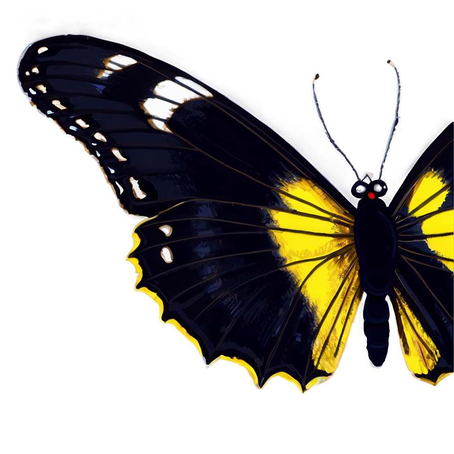 Black Butterfly Sketch Png 06252024 PNG