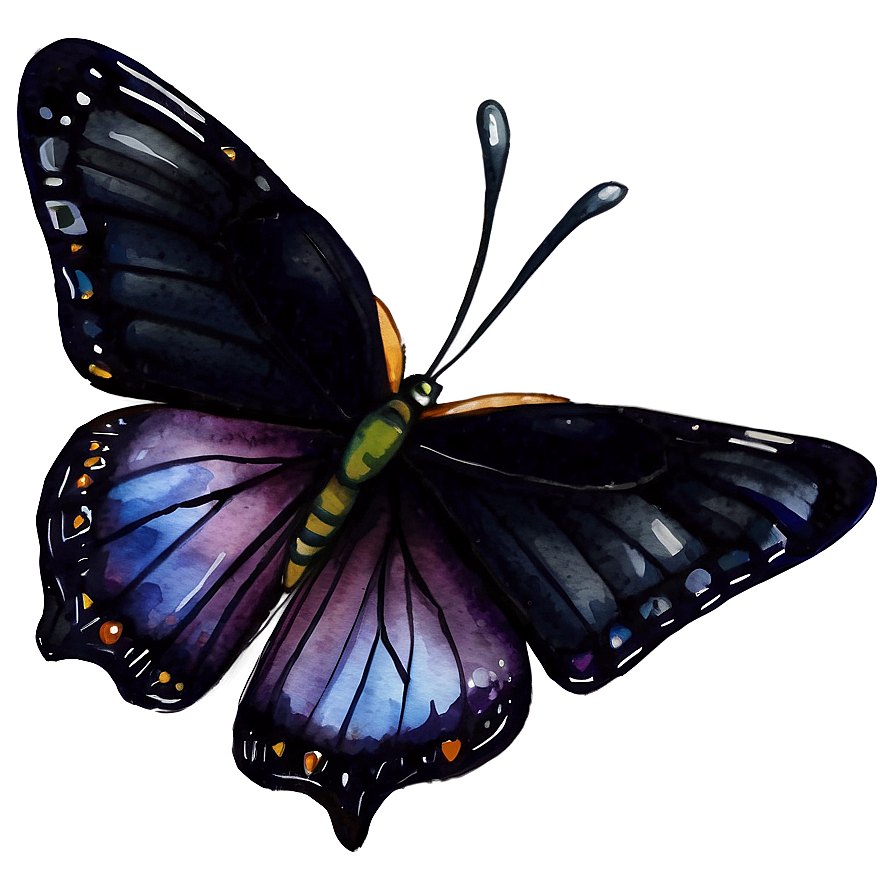 Black Butterfly Watercolor Png Ecg PNG