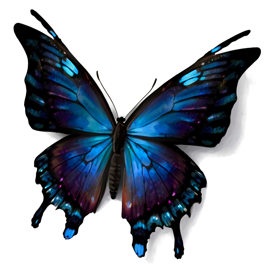 Black Butterfly With Blue Highlights Png Guf77 PNG