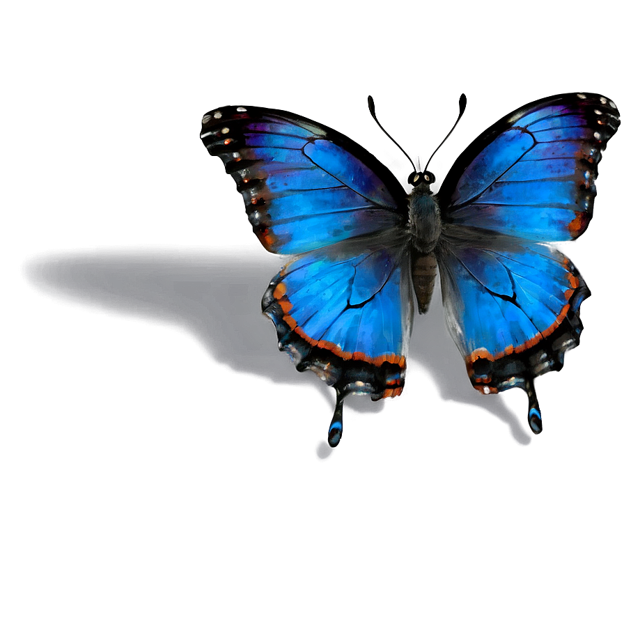 Black Butterfly With Blue Highlights Png Llk PNG