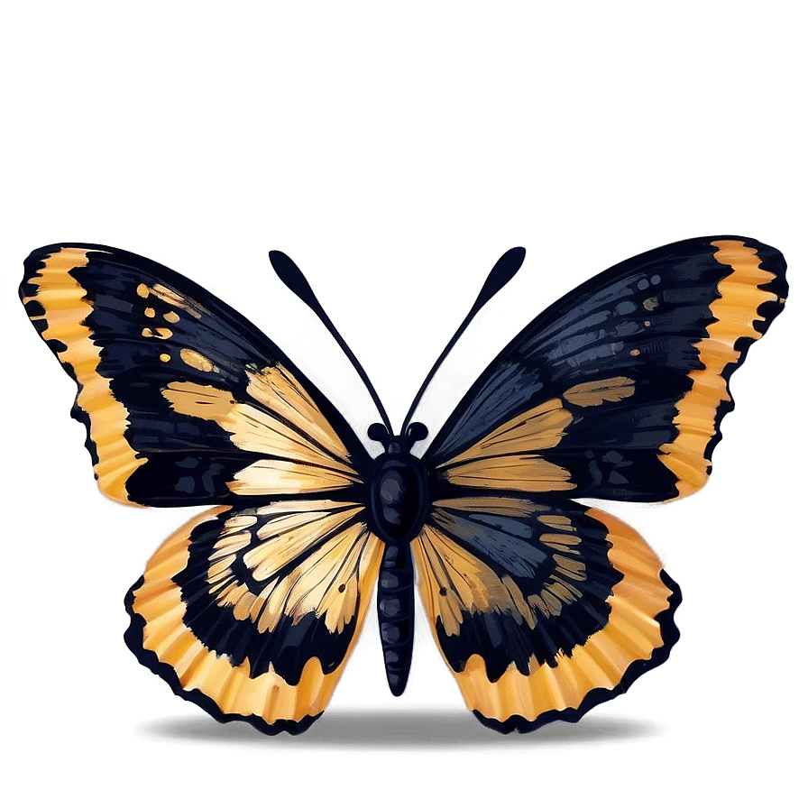 Black Butterfly With Golden Accents Png Acm22 PNG