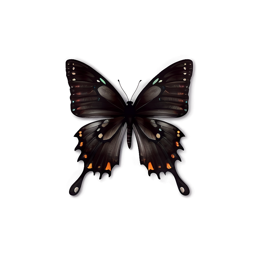 Black Butterfly With Transparent Background Png Pjt30 PNG