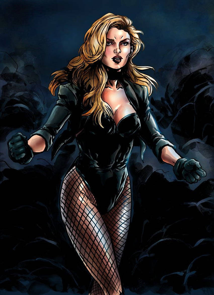 black canary justice league unlimited wallpaper