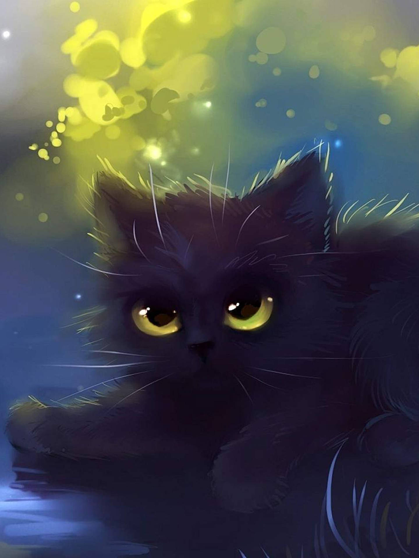 A mysterious black cat stares into the distance. Wallpaper