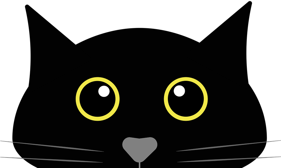 Black Cat Cartoon Portrait PNG