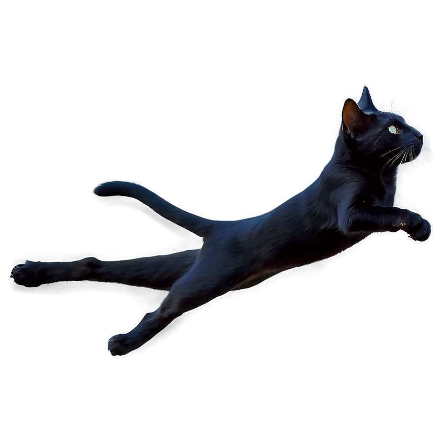 Black Cat Leaping Png Ejp PNG