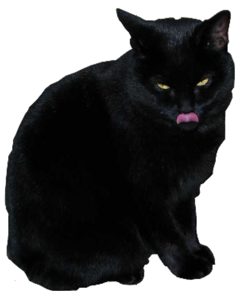 Black Cat Licking Lips PNG