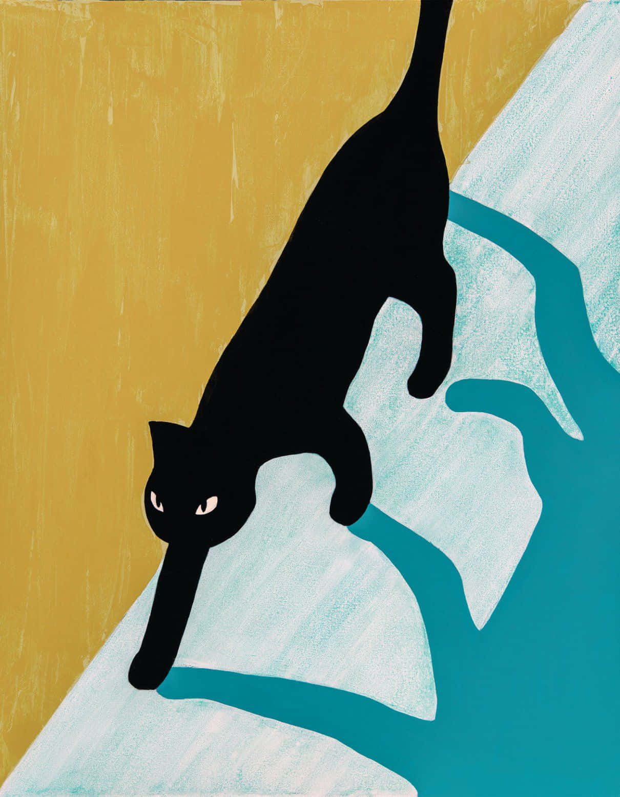 'The beauty of a Black Cat, peering into the unknown'