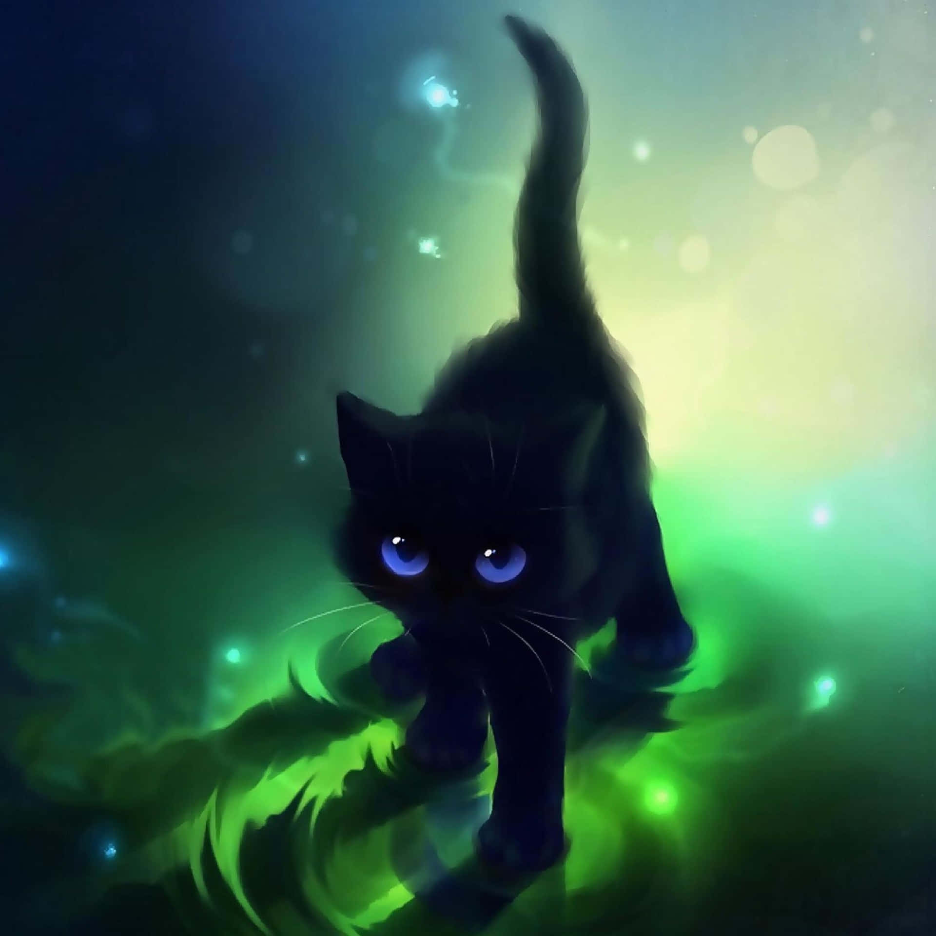 Dennaunderbara Svarta Katt Kommer Att Stjäla Ditt Hjärta