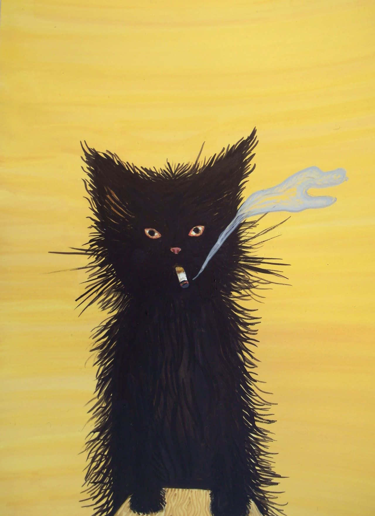 Unmisterioso Gato Negro Con Una Mirada Penetrante