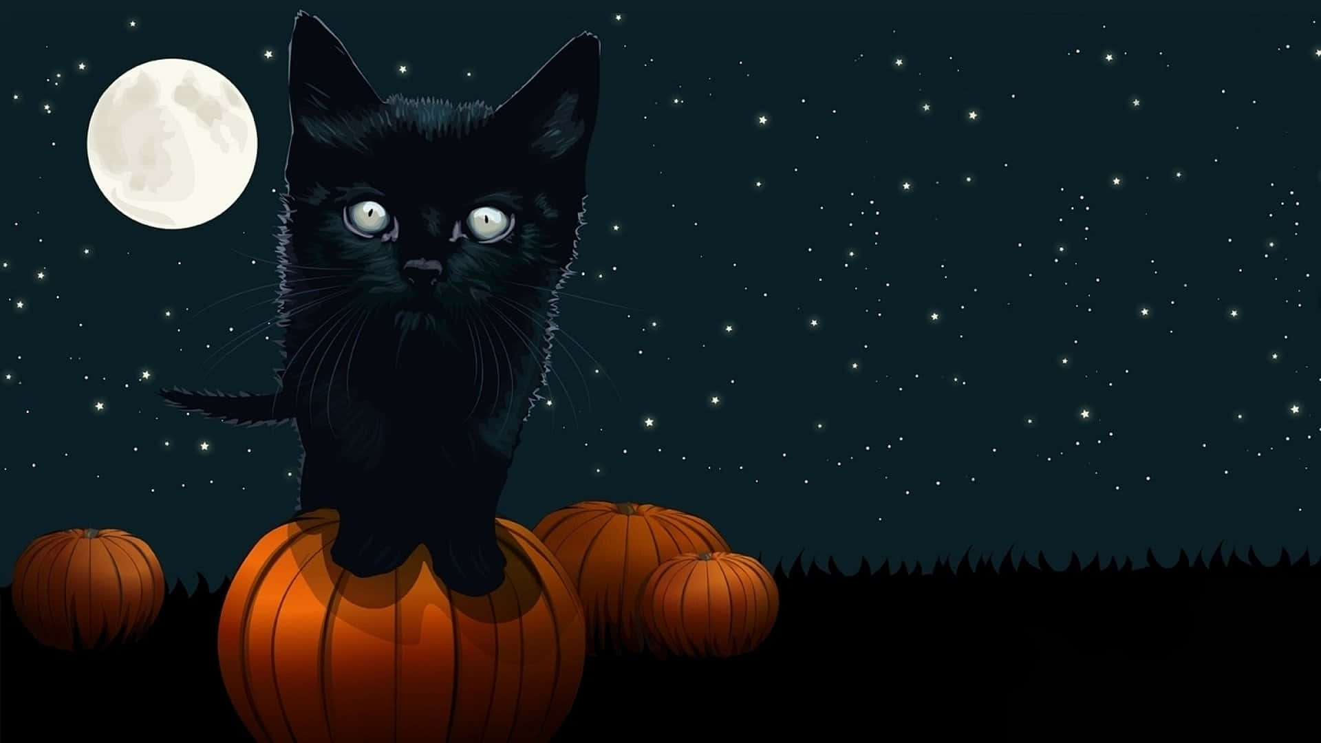 Black Cat Pumpkins Halloween Night Wallpaper