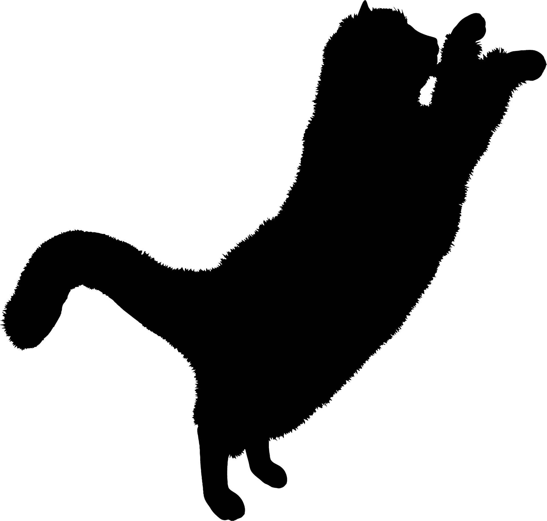 Black Cat Silhouette Jumping PNG