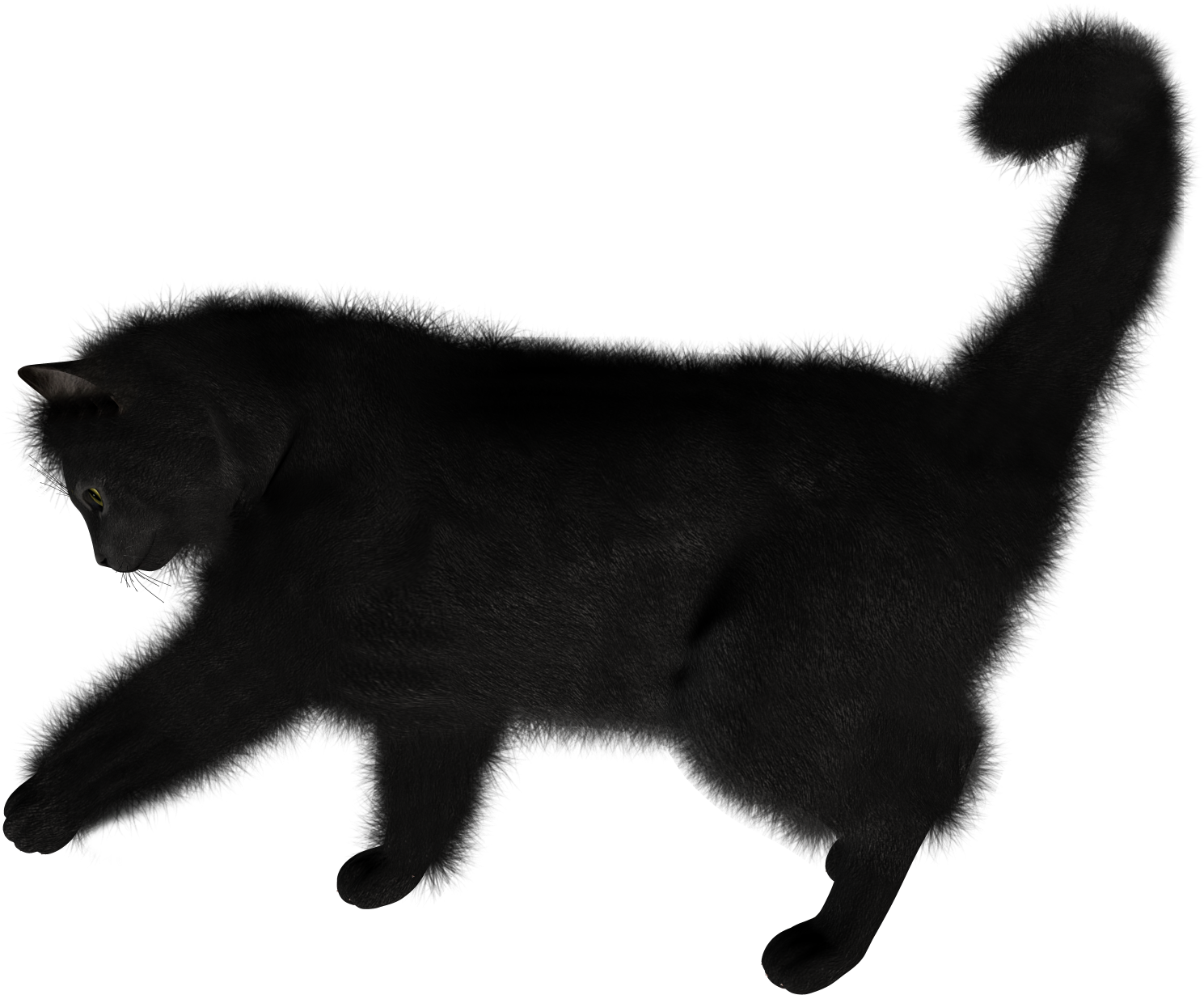Black Cat Stretching Silhouette PNG