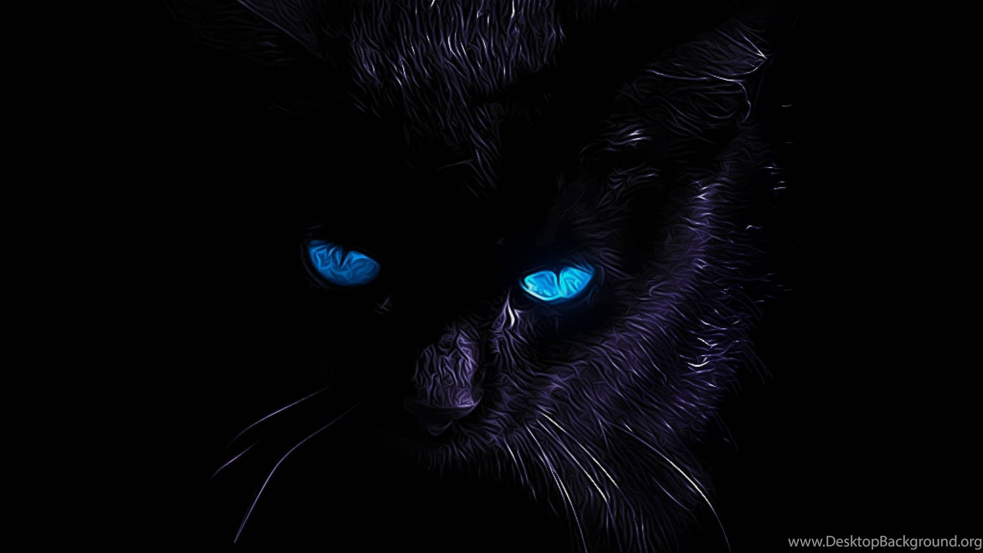 Black Cat With Blue Eyes Wallpaper