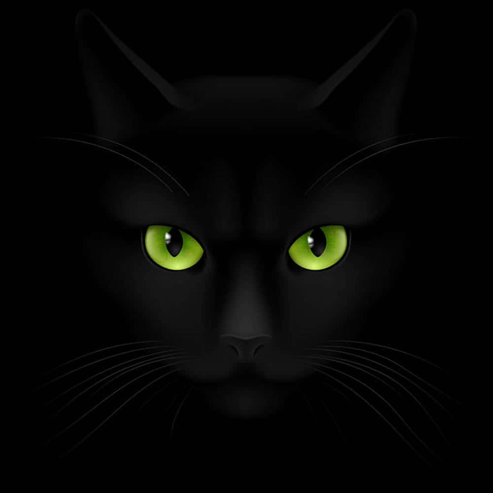 Black Cat With Green Eyes Digital Art Wallpaper