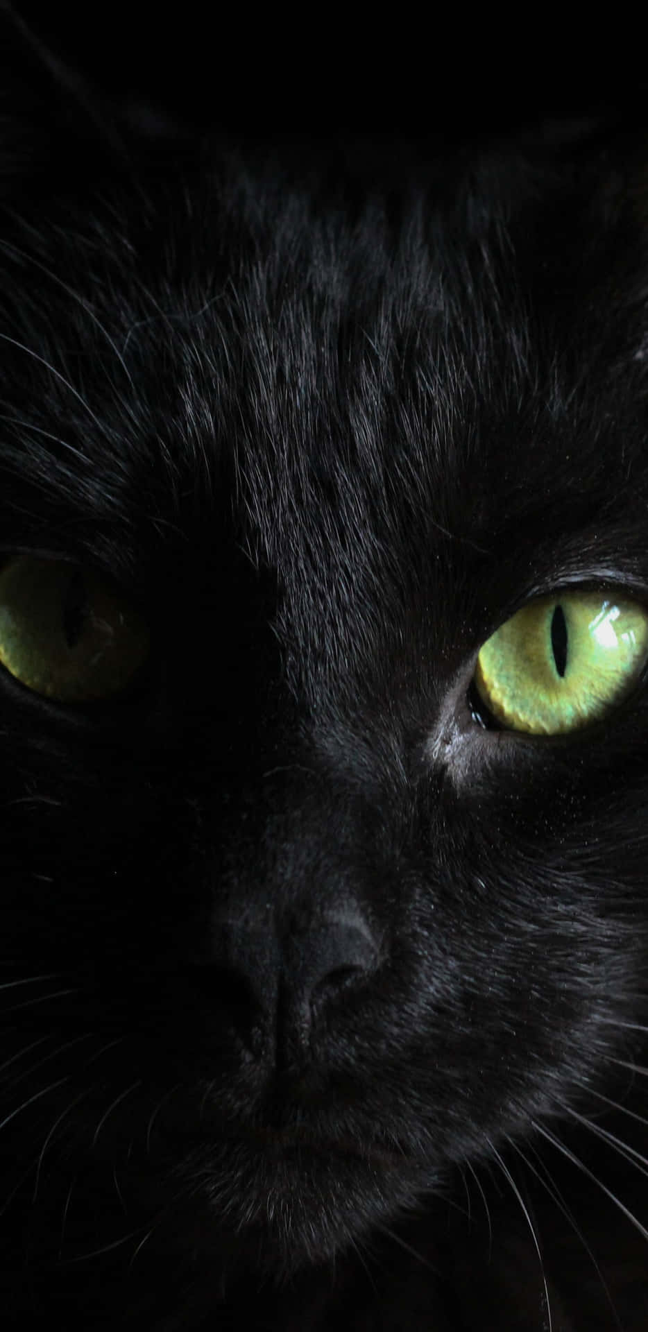 Black Cat With Green Eyes Portrait Wallpaper