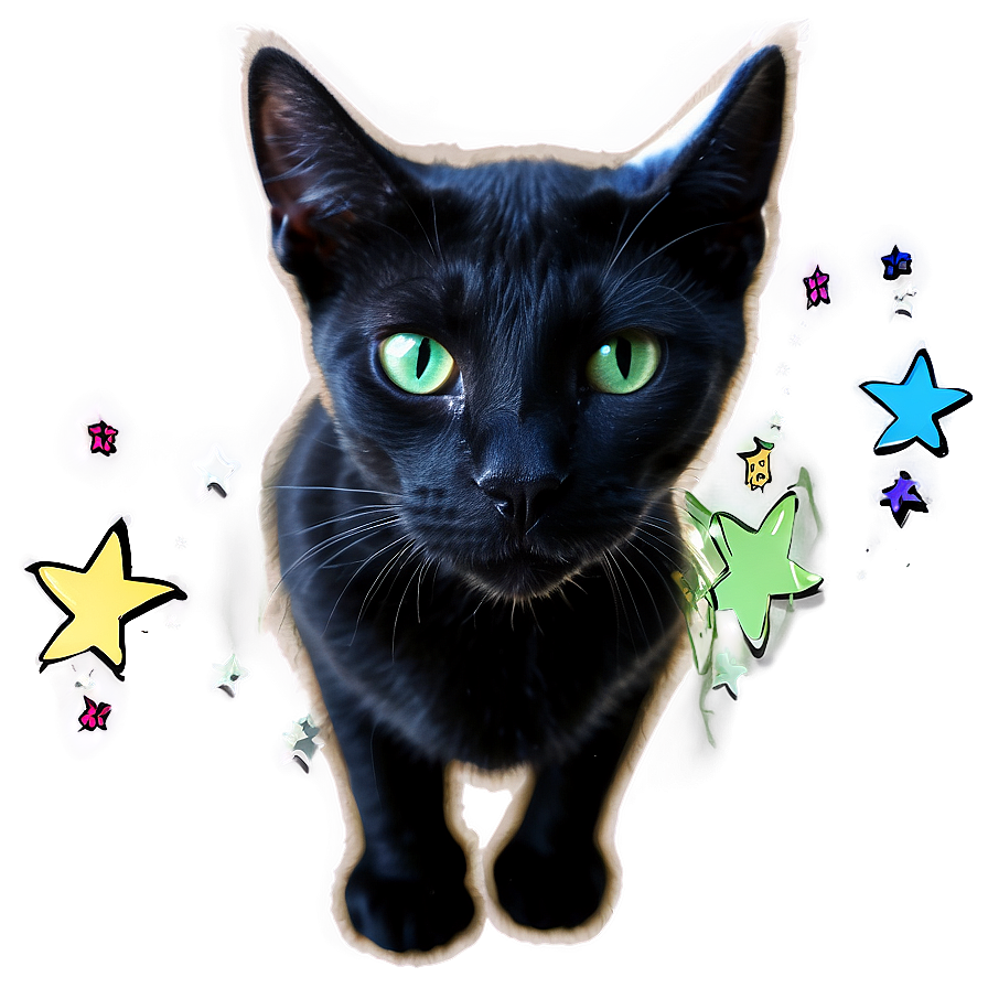 Black Cat With Stars Png Oqk5 PNG