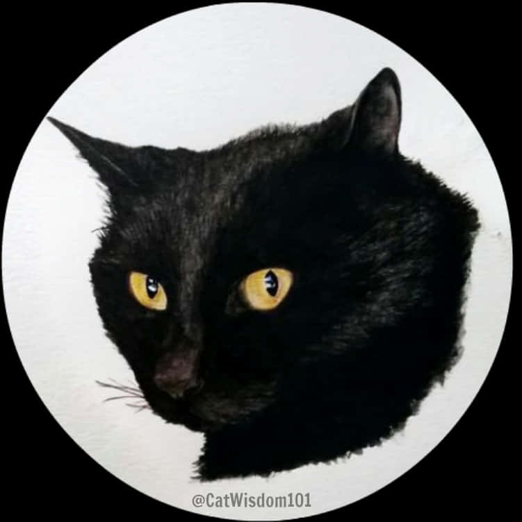 Black Cat Yellow Eyes Artwork PNG