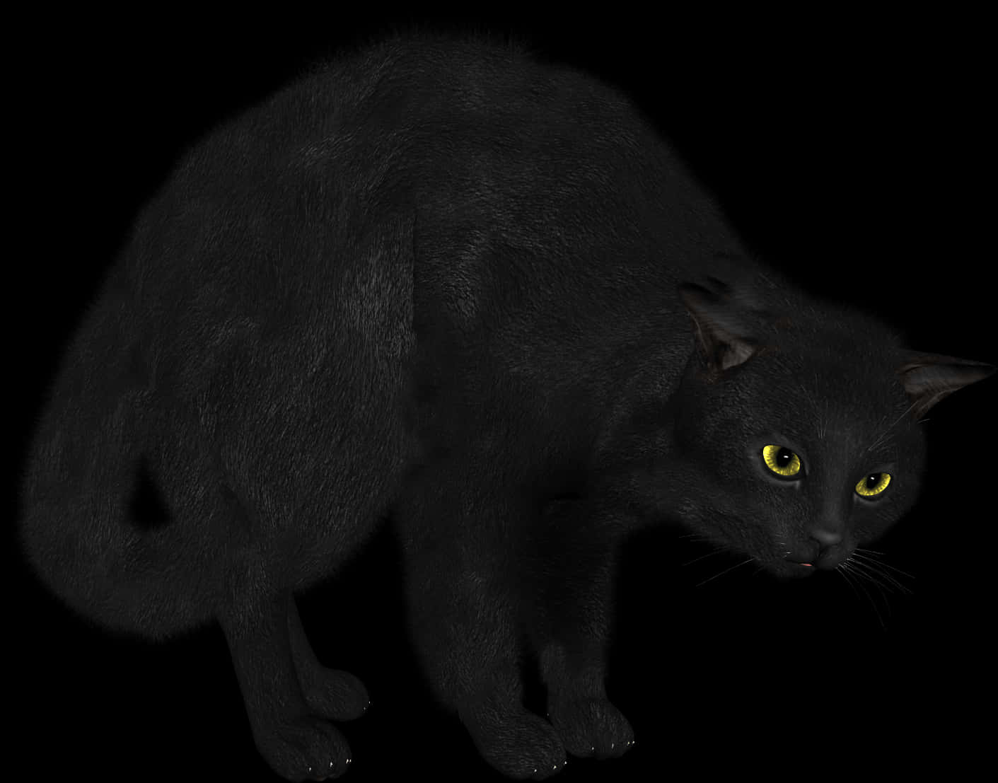 Black Cat Yellow Eyes PNG
