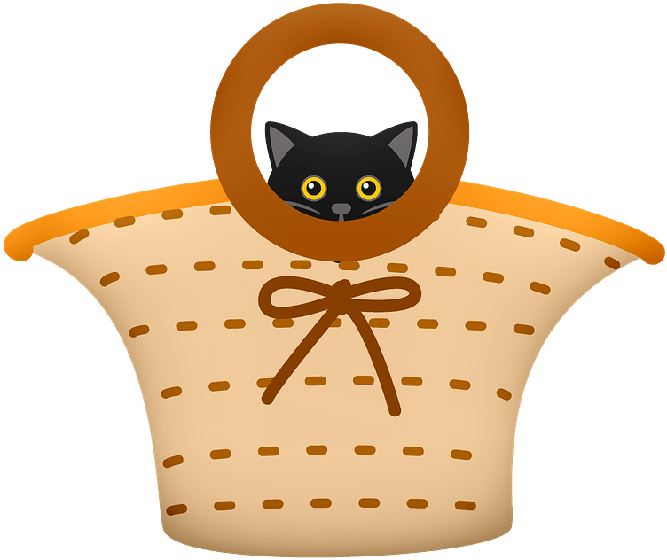 Black Catin Basket Graphic PNG