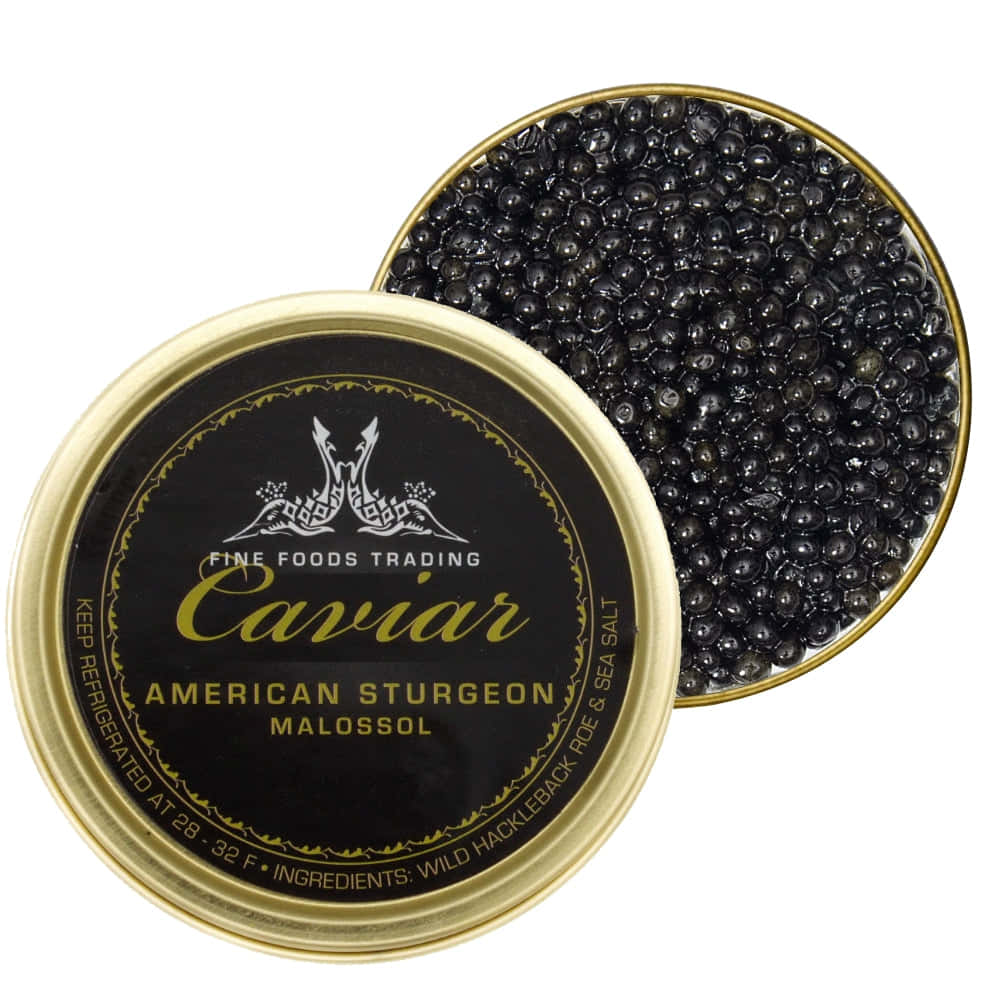 The Phenomenon- World-Renowned Racehorse Black Caviar" Wallpaper