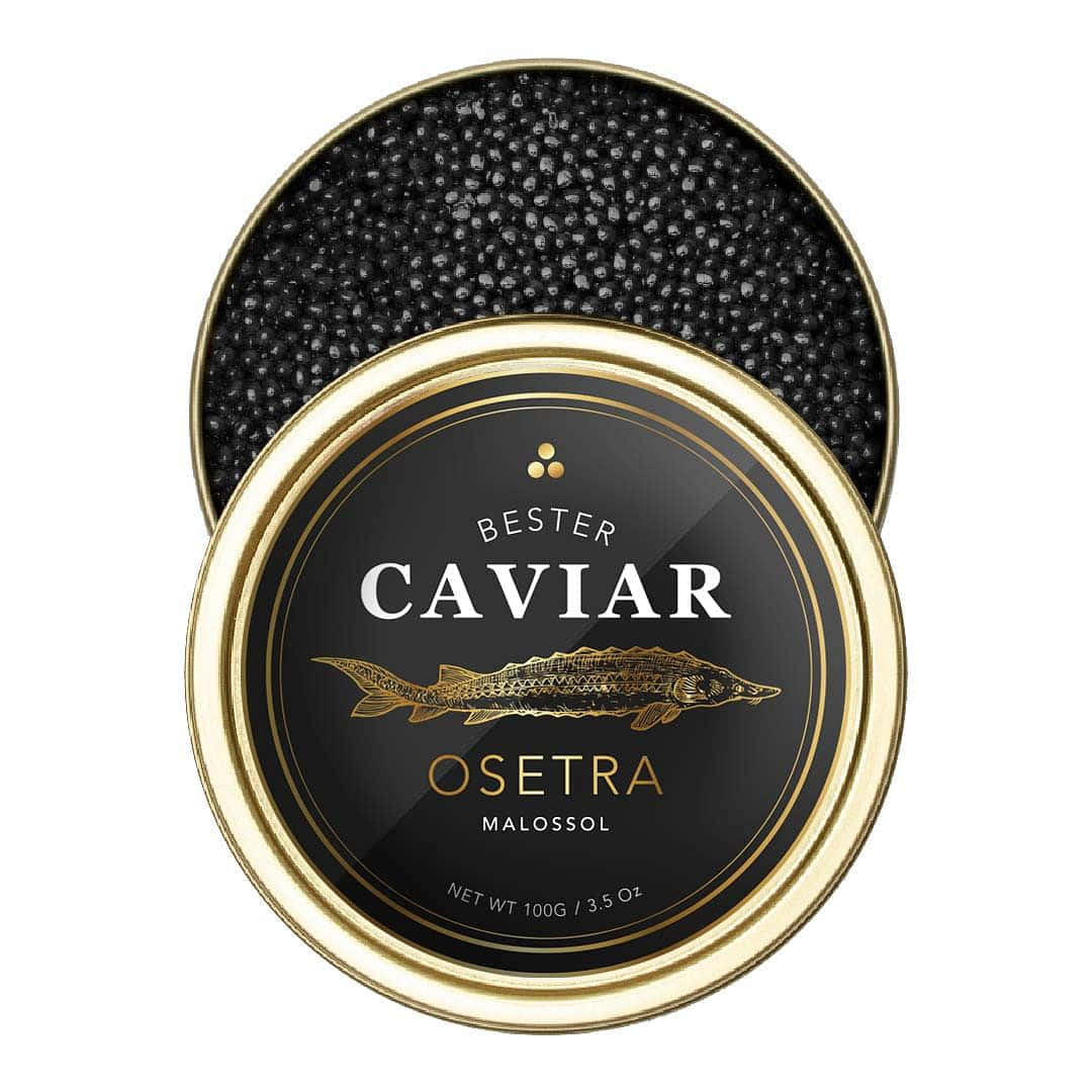 Lamajestuosa Caviar Negra Corriendo Hacia La Victoria. Fondo de pantalla