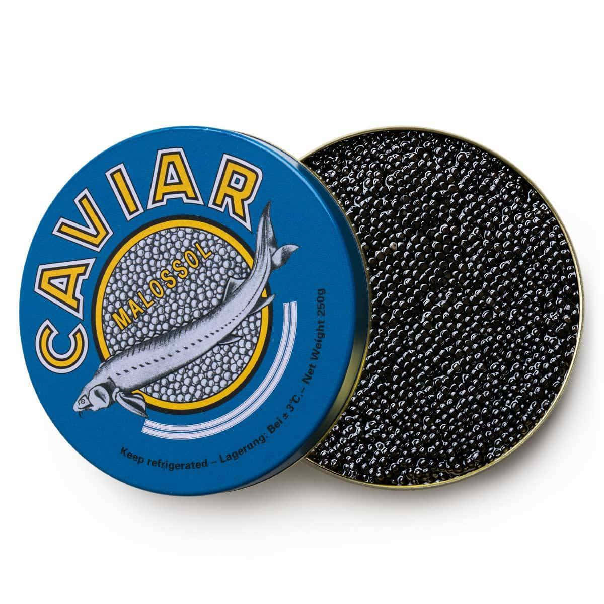 Thoroughbred Horse Black Caviar Wallpaper