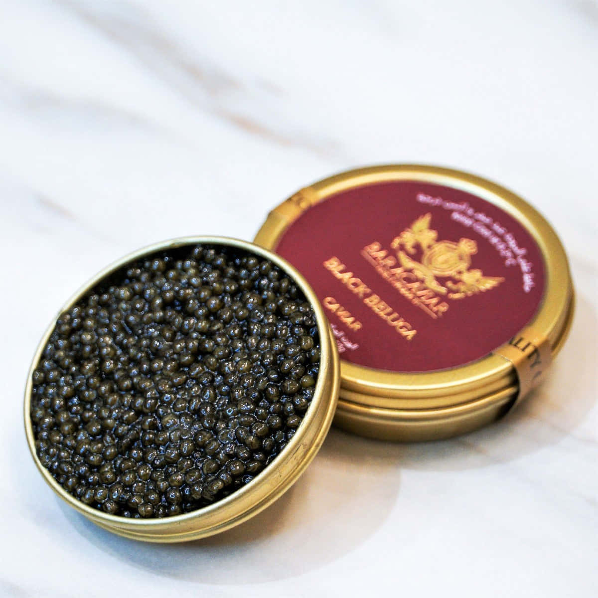 Uncaballo De Caviar Negro Listo Para Una Carrera Fondo de pantalla