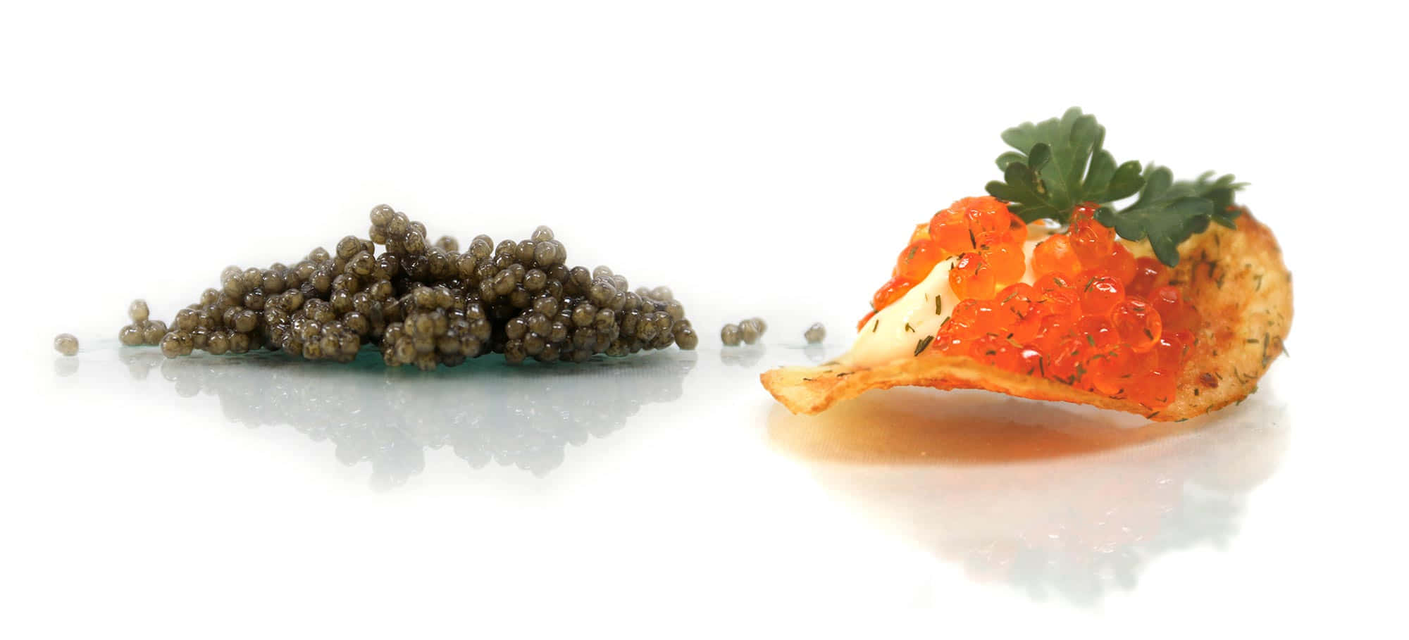 The Playful Black Caviar Wallpaper