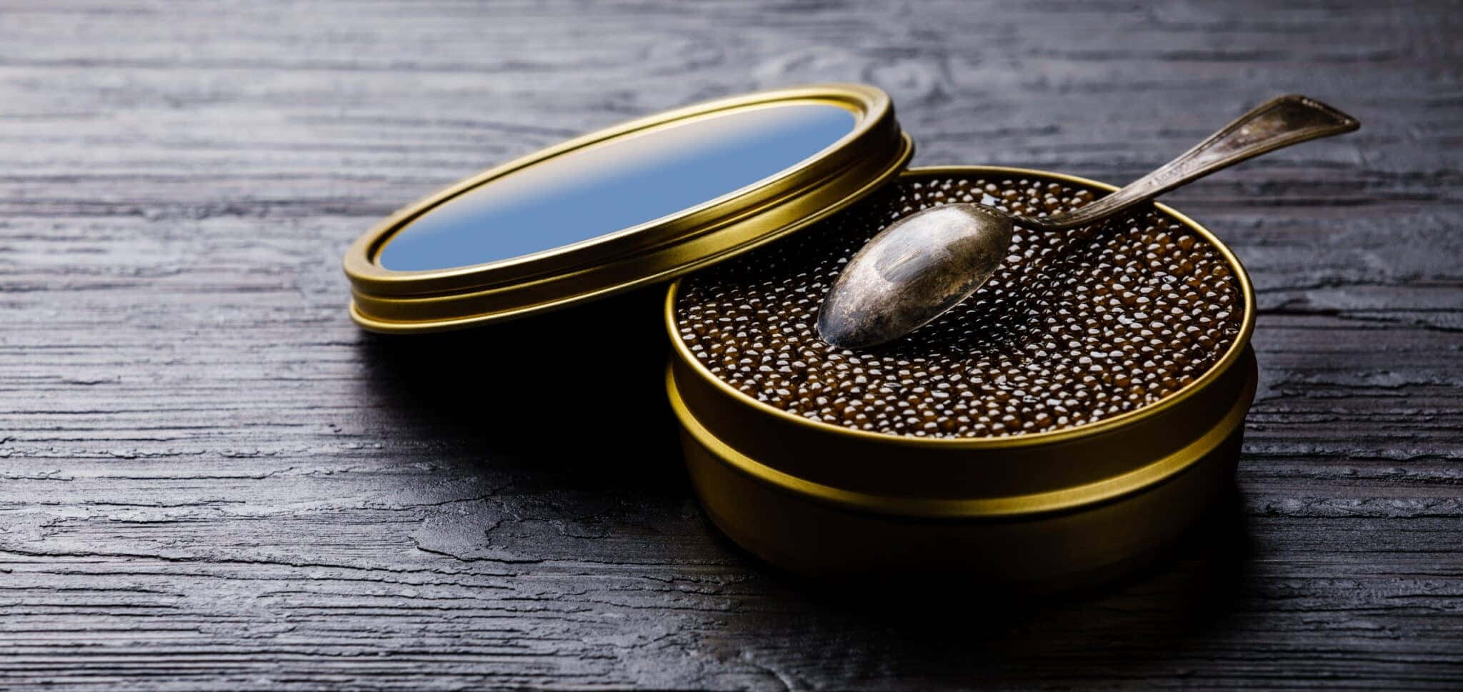 Black Caviar, the living legend Wallpaper