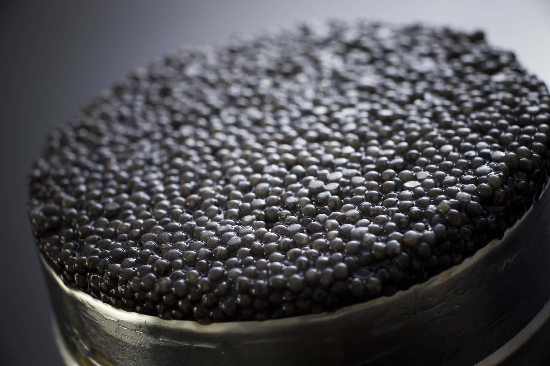 Black Caviar, Symbol of Luxury Wallpaper