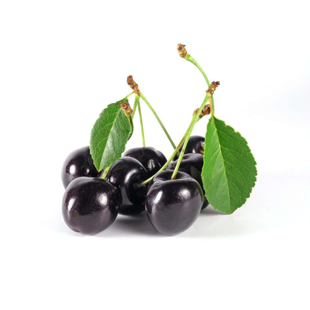 A ripe black cherry ready for a delicious snack. Wallpaper