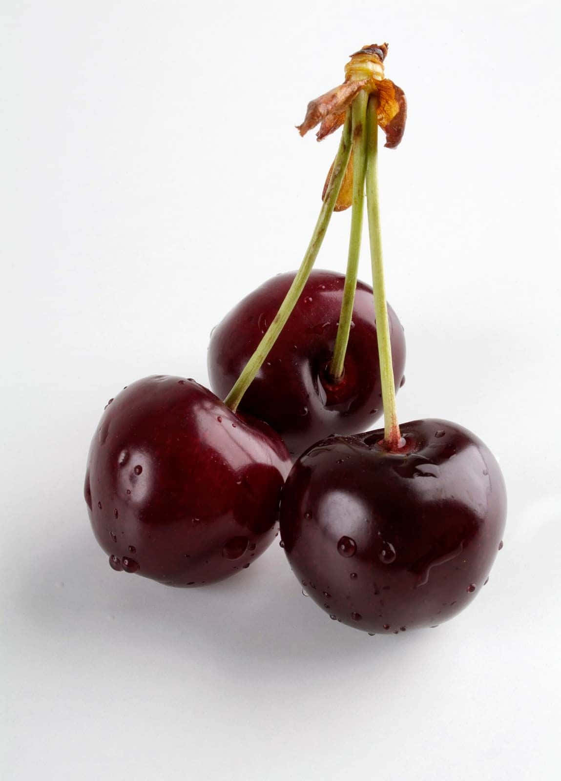 {A black cherry fruit perfectly ripened.} Wallpaper