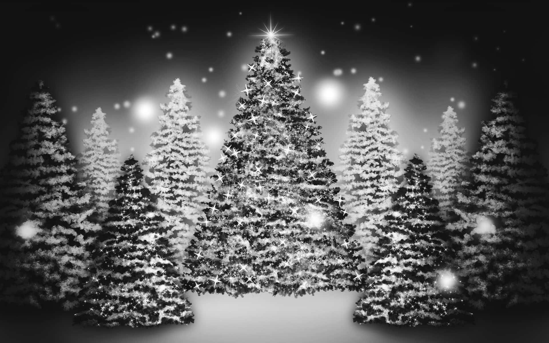Bring on the holiday season with this stunning black Christmas background