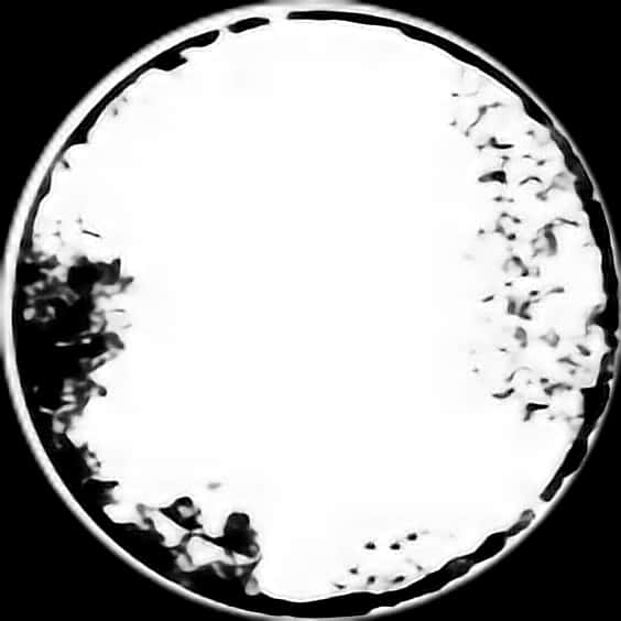 Black Circle White Center Abstract PNG