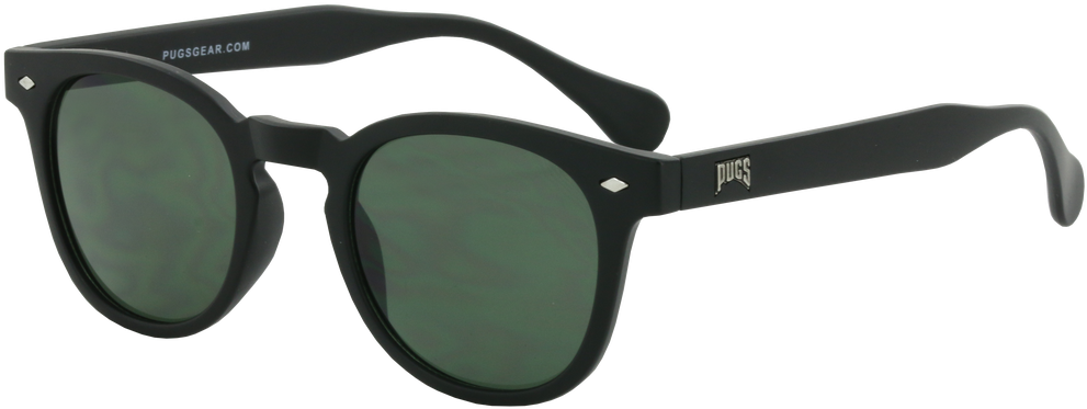 Black Classic Sunglasses PNG