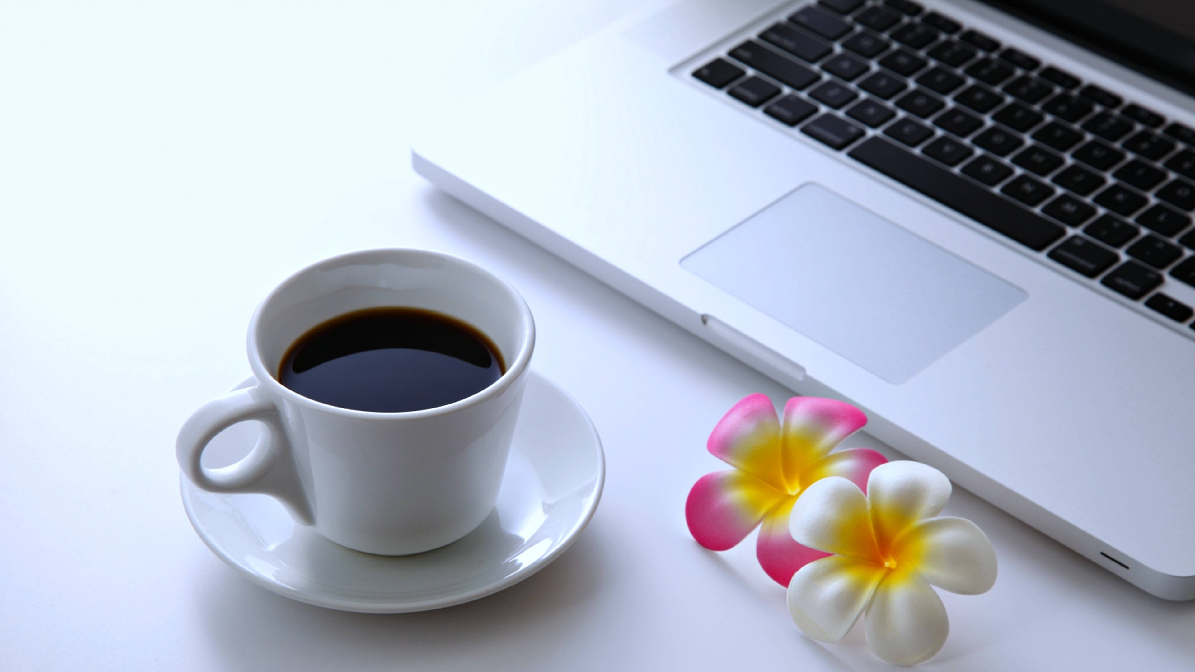 Black Coffee Laptop With Frangipani Flowers Wallpaper
