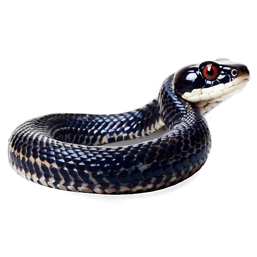 Black Corn Snake Png 76 PNG