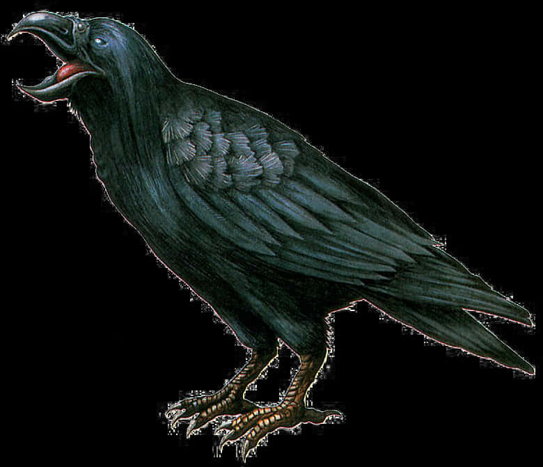 Black Crow Cawing PNG