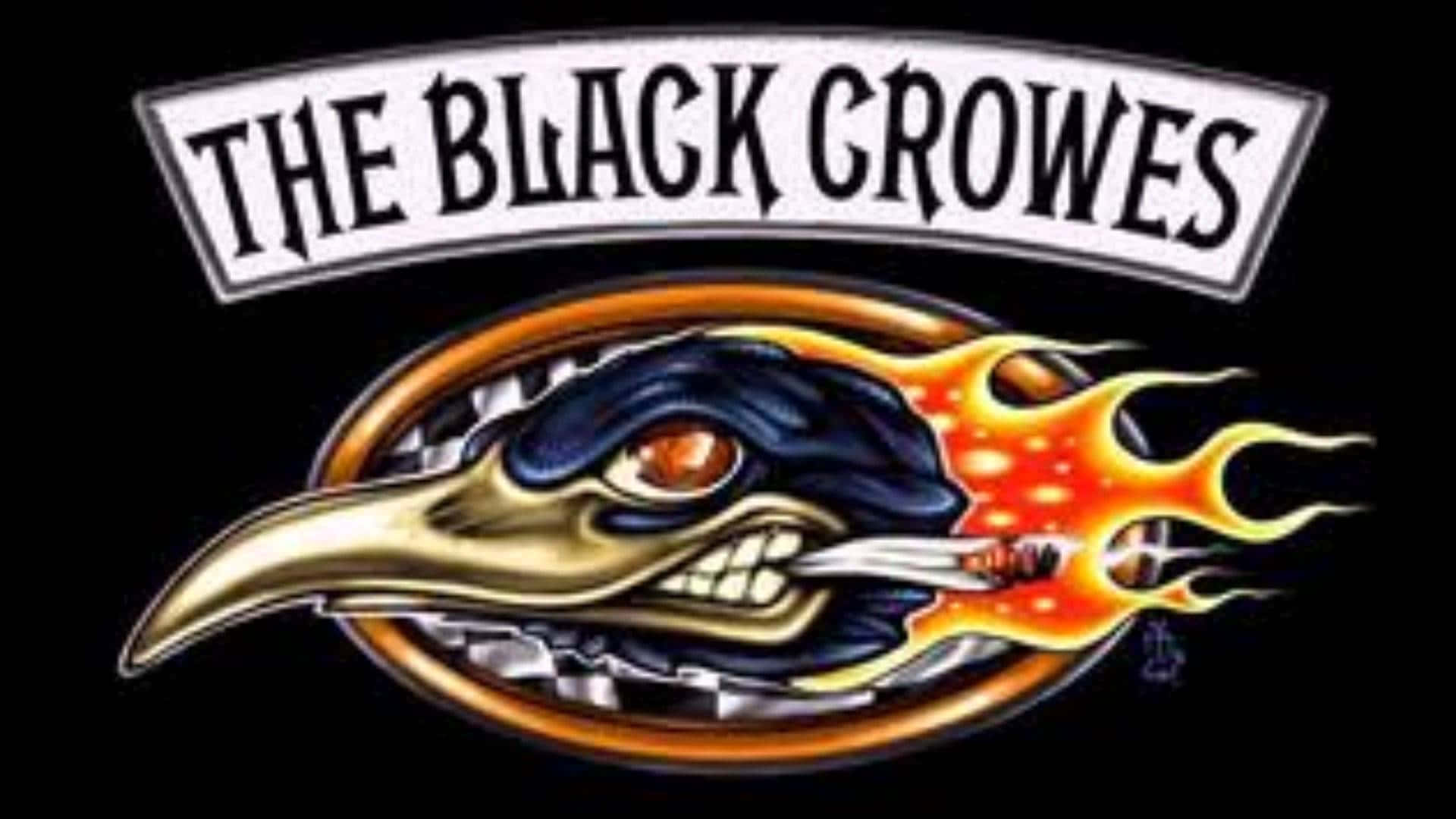 Legendary Rock Band Black Crowes Wallpaper