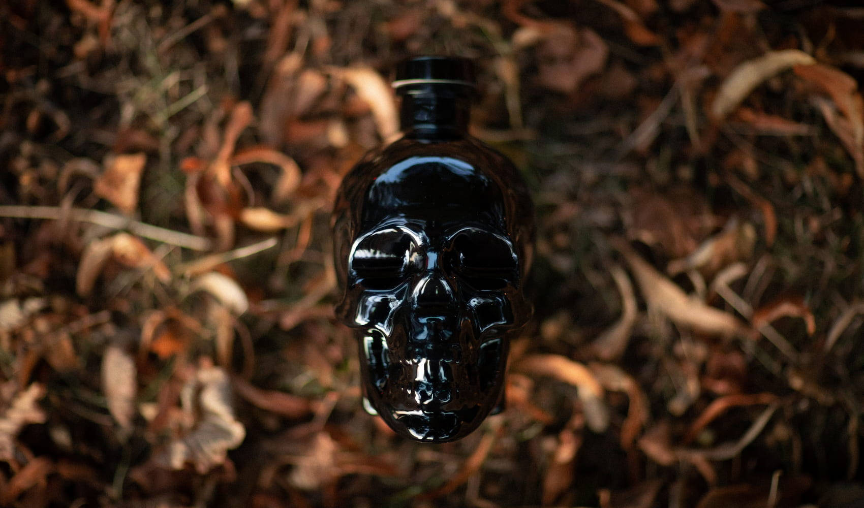 Black Crystal Head Vodka On Dried Leaves Picture