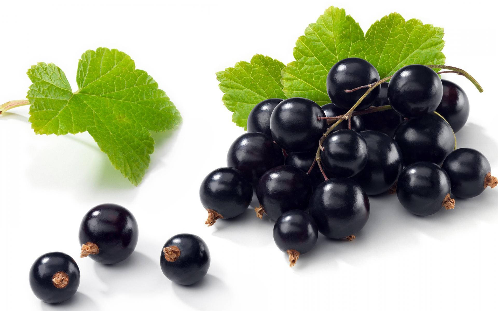 Black Currant Berries Healthy Fruit Wallpaper