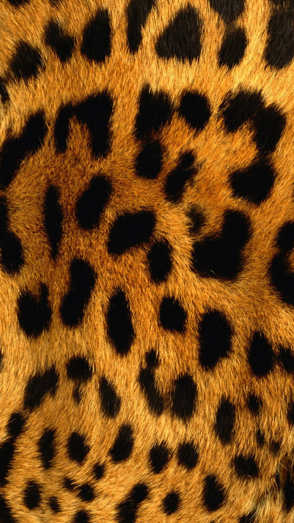 Black Cute Leopard Print Spots Wallpaper