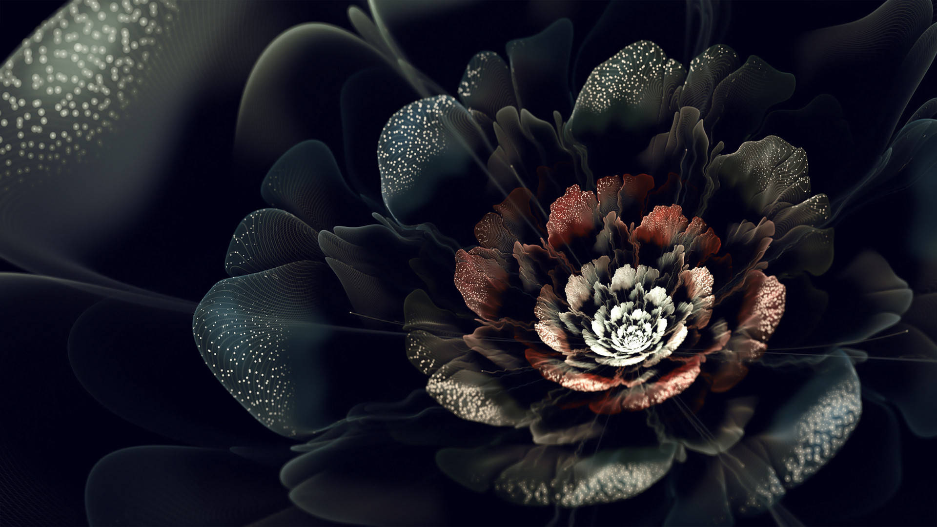 Black Dark Floral Petals Wallpaper