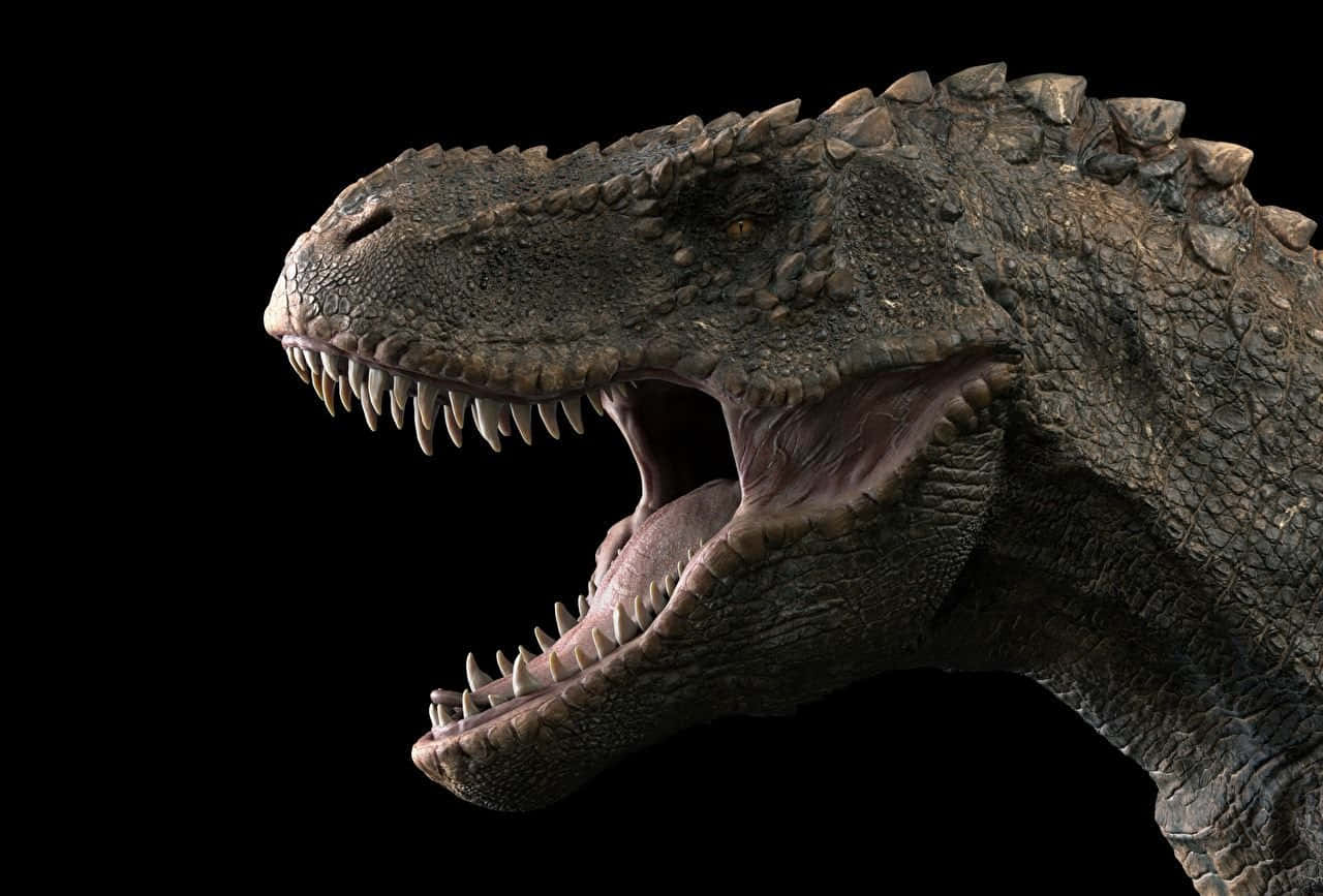 Schwarzerdinosaurier T-rex Nahaufnahme Wallpaper