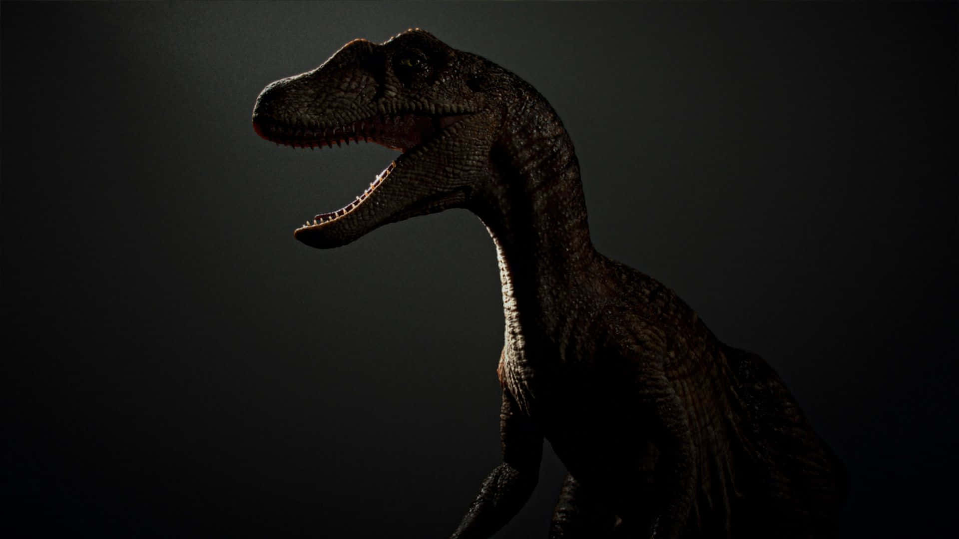 Svartdinosaurie Raptor Jurassic World Wallpaper