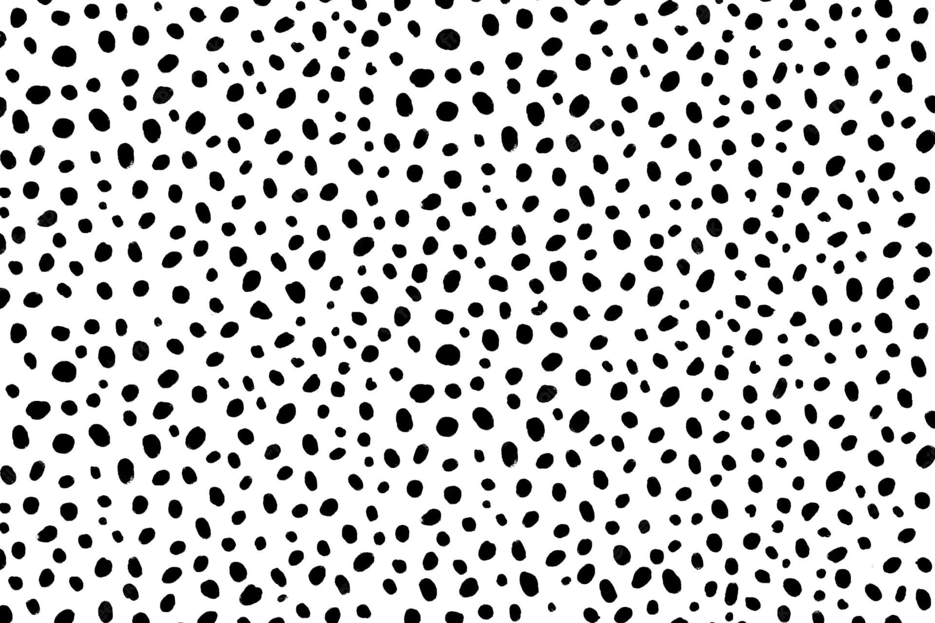 Intricate Black Dots Pattern Wallpaper