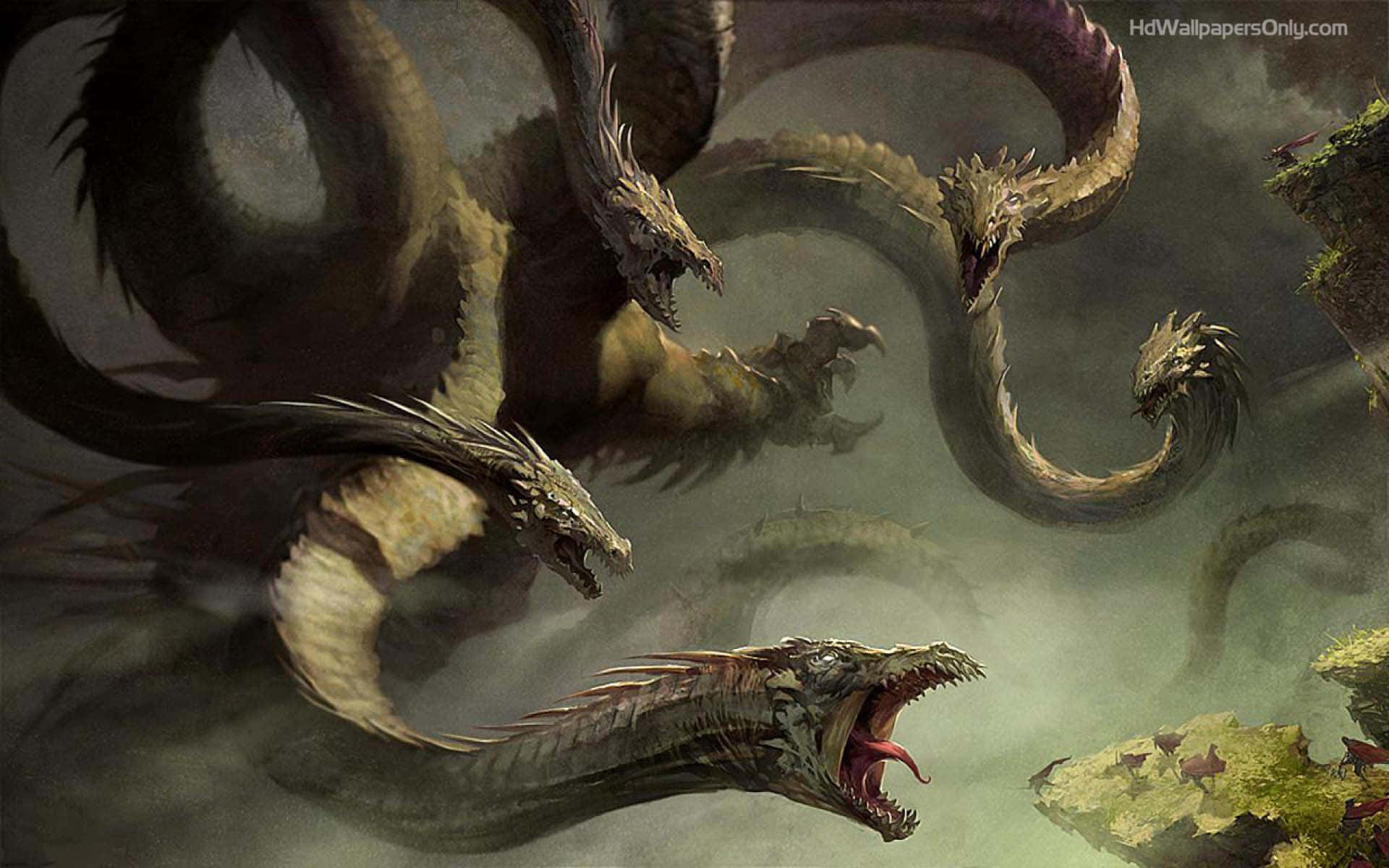 Black Dragon With Multiple Heads Wallpaper