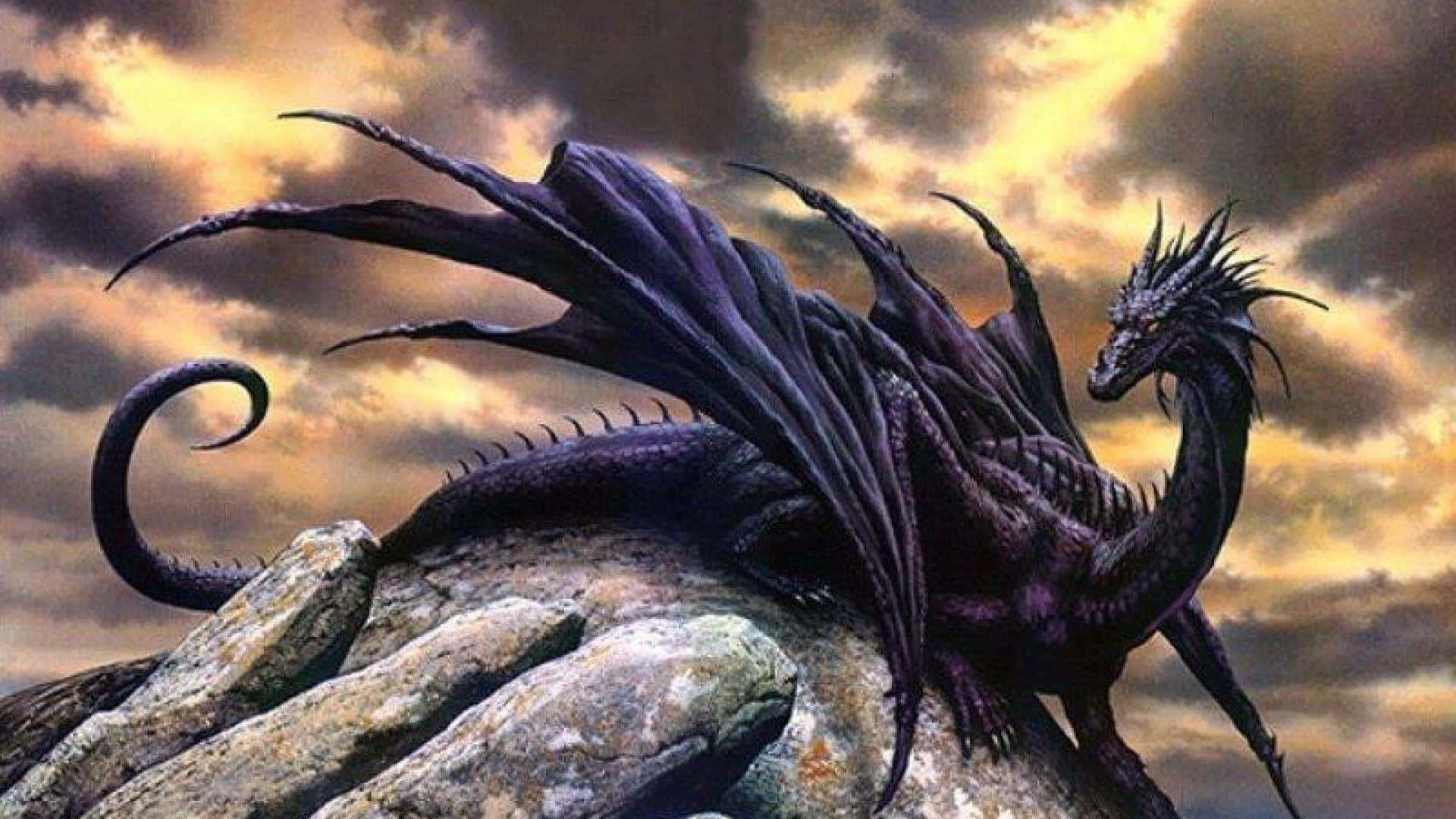 Black Dragon Sitting On A Rock Wallpaper